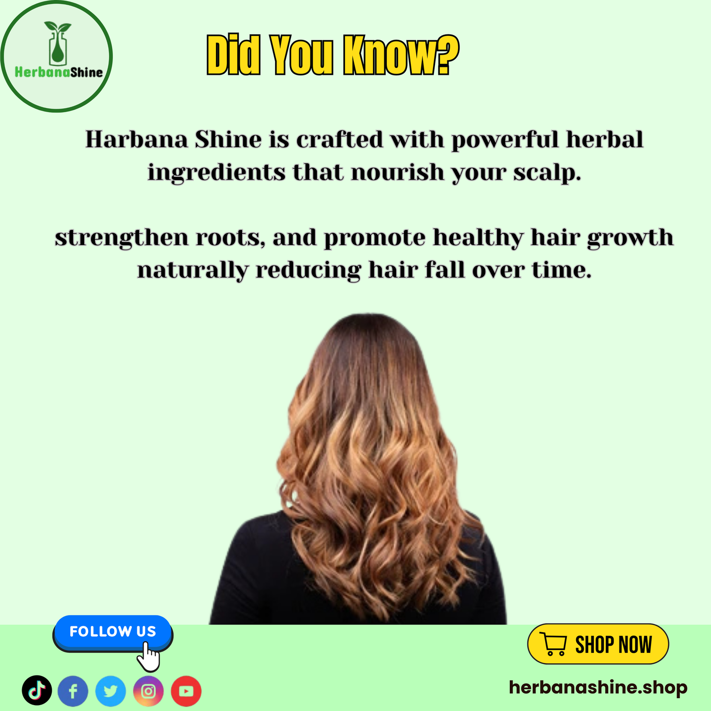 Herbana Shine Hair Oil - Your Ultimate Hair Care Solution, For Mans & Womans